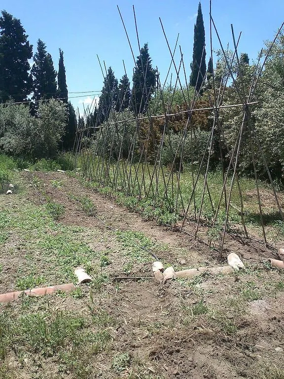 Kır Evi Cortijo Algabia Konuk evi Alhendín