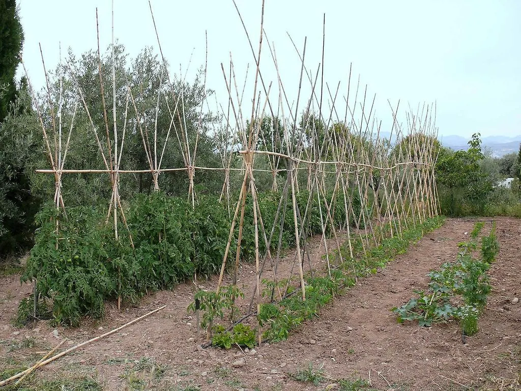 Country house Cortijo Algabia Guest House Alhendin